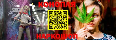 прущие крисы Будённовск