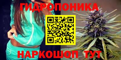 прущие крисы Будённовск