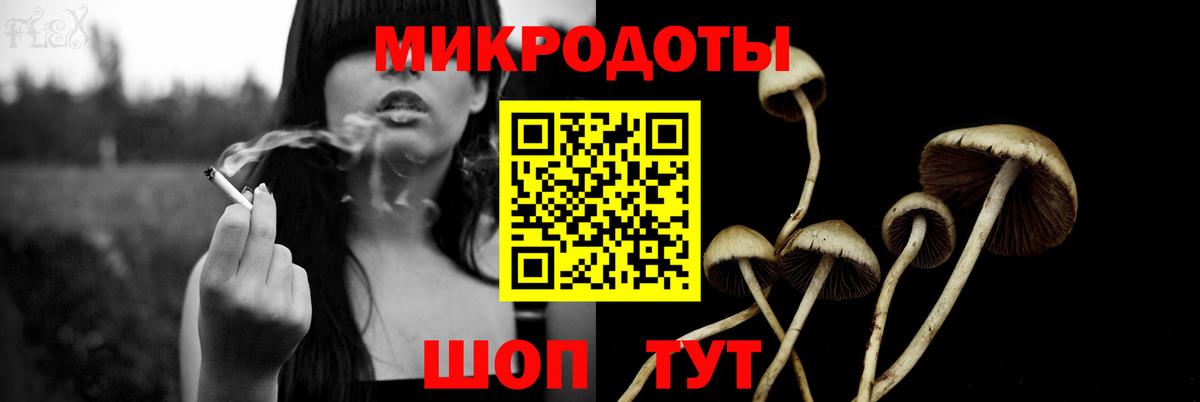 Осинники  Псилоцибиновые грибы прущие грибы  Вход с VPN 